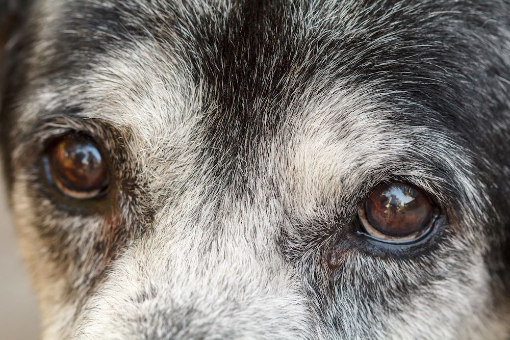 Editorial: March 1, 2024